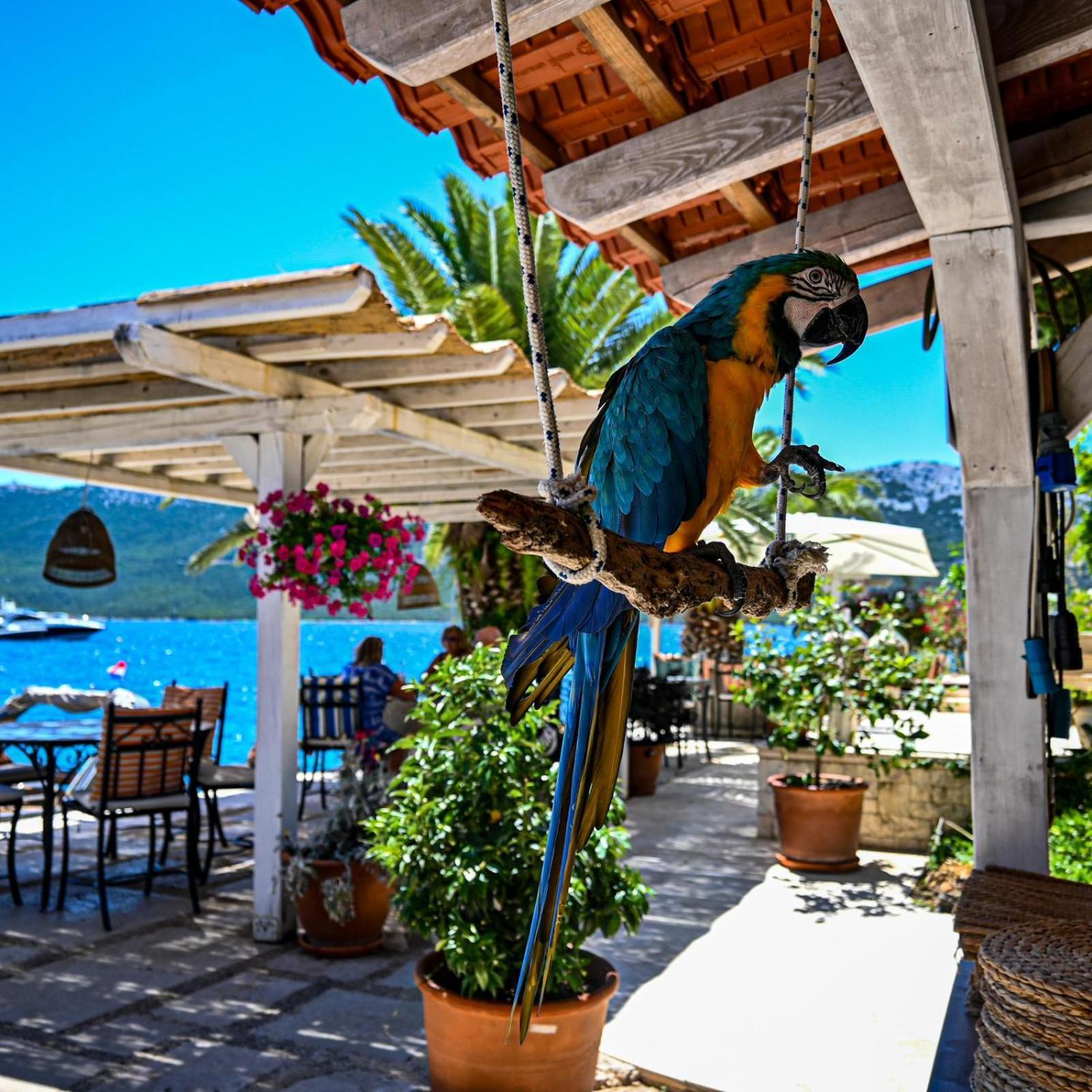 Villa Rava Hotel & Restaurant المظهر الخارجي الصورة